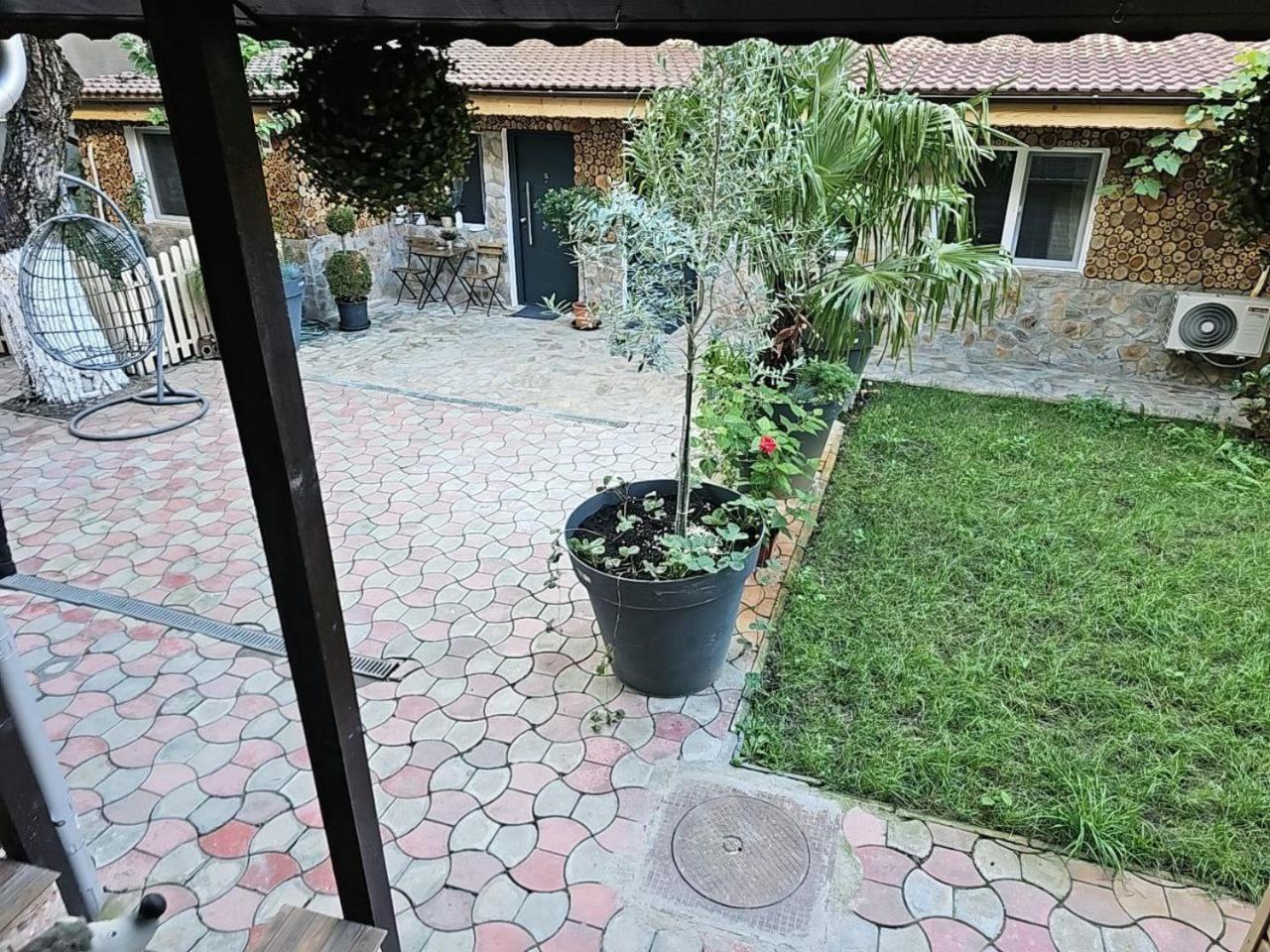 טימישוארה Stay In Tmisoara מראה חיצוני תמונה
